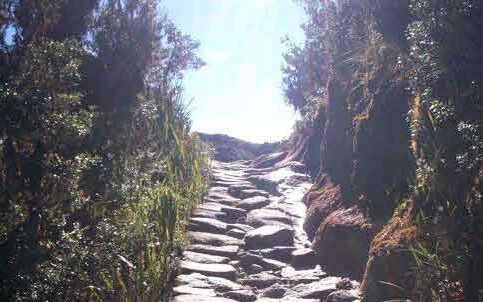 Las Piedras del Camino