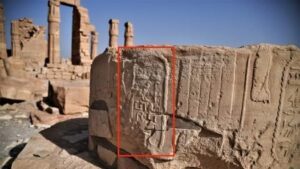 FB_IMG_1717978460896